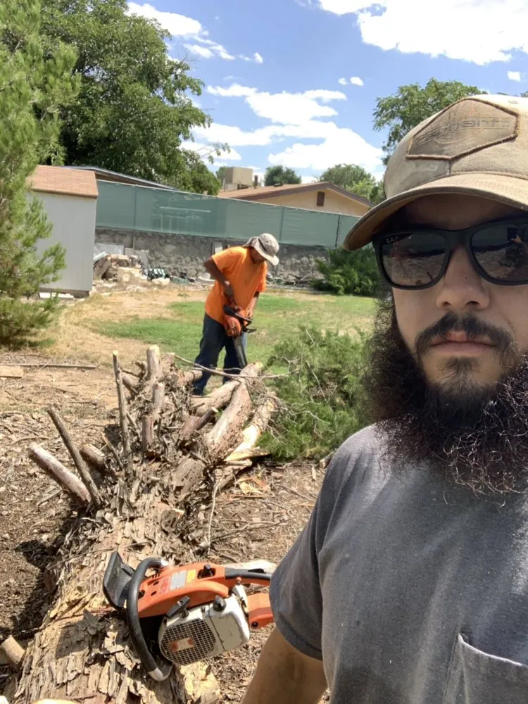 Local residential landscaping for year-round maintenance across Las Cruces, NM - Strain's Greenery