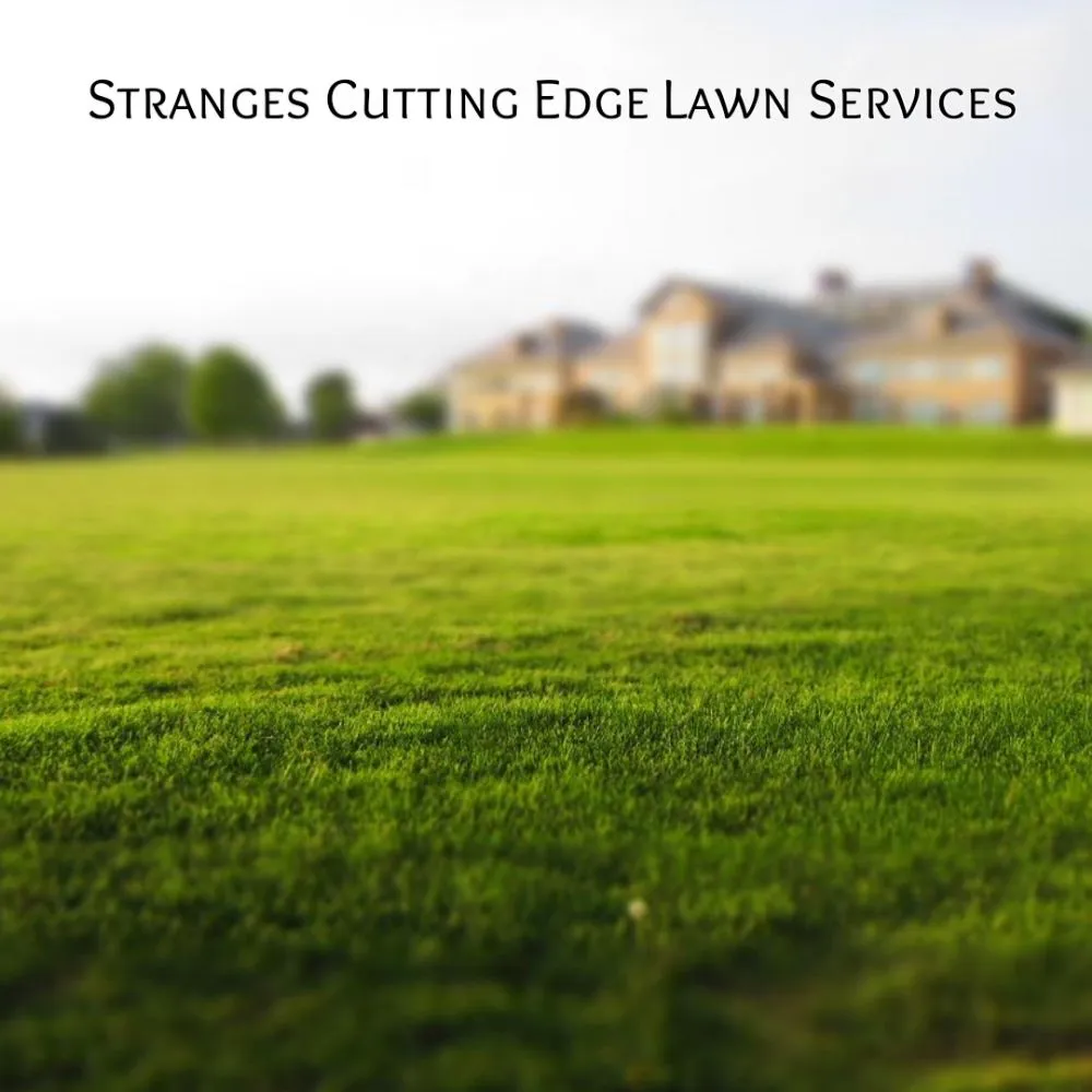 Reliable lawn mowing service in Bean Station, TN by Strange Lawncare & Landscaping