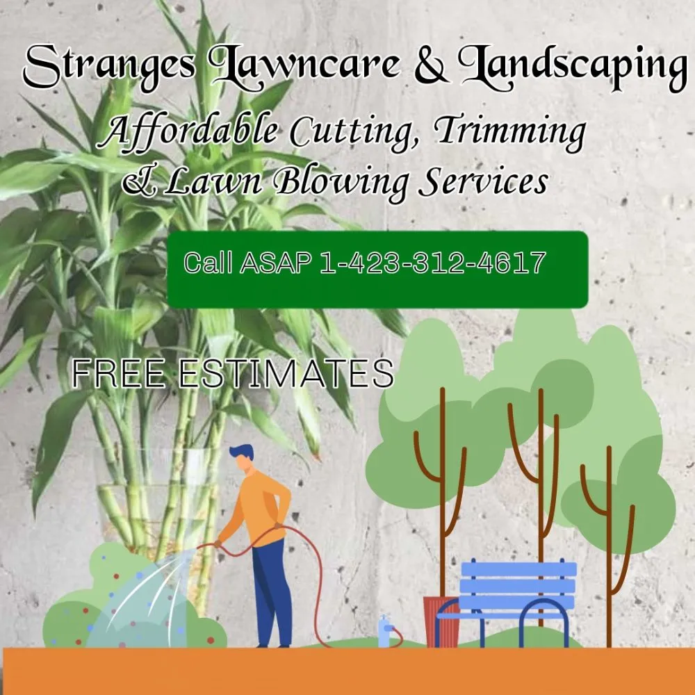 Custom yard maintenance experts serving Bean Station, TN - Strange Lawncare & Landscaping