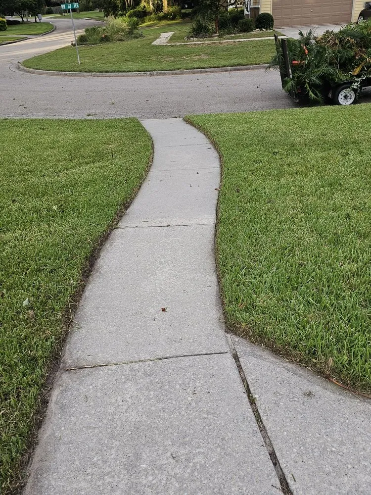 Professional landscape design in Gainesville, FL by Strange Oasis