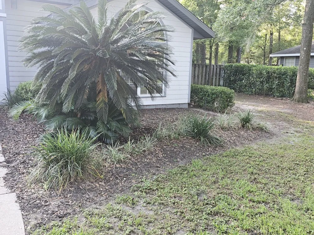 Professional outdoor landscaping in Gainesville, FL by Strange Oasis