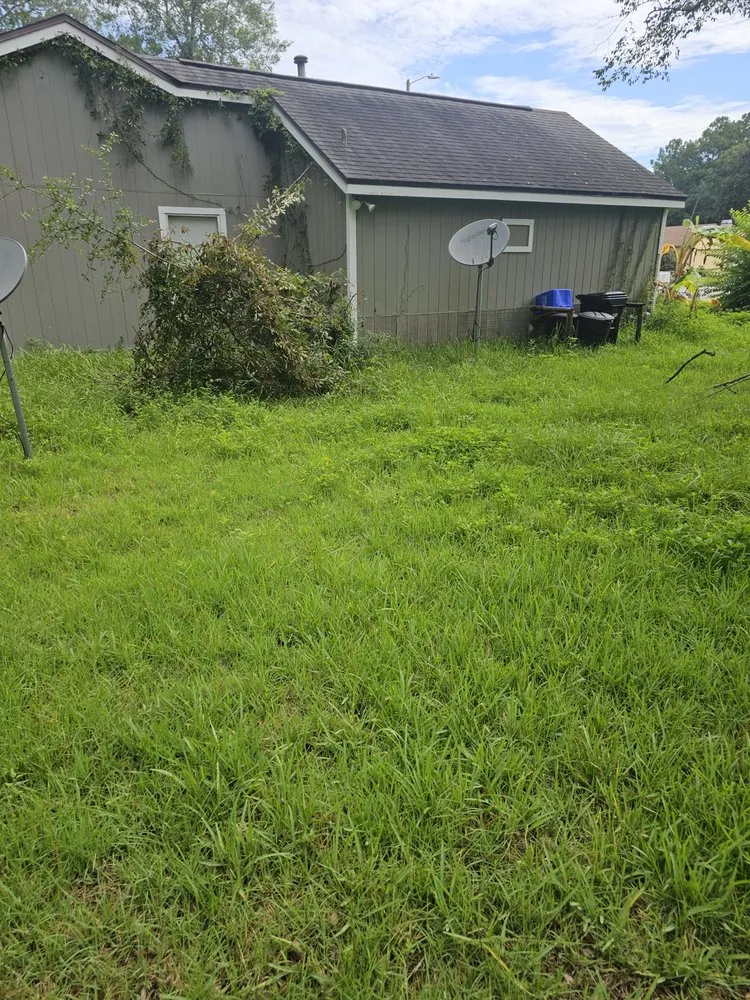 Top-rated outdoor landscaping for homes in Gainesville, FL by Strange Oasis