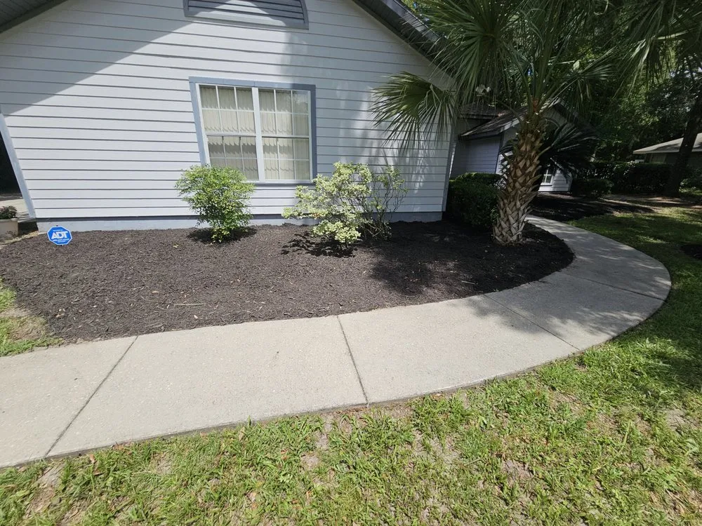 Reliable yard cleanup service in Gainesville, FL - Strange Oasis