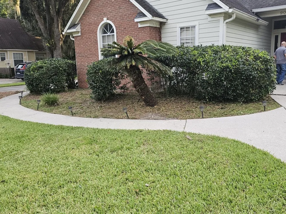 Local yard cleanup service with custom design across Gainesville, FL - Strange Oasis
