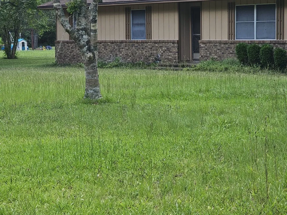 Reliable yard maintenance for outdoor upgrades in Gainesville, FL by Strange Oasis