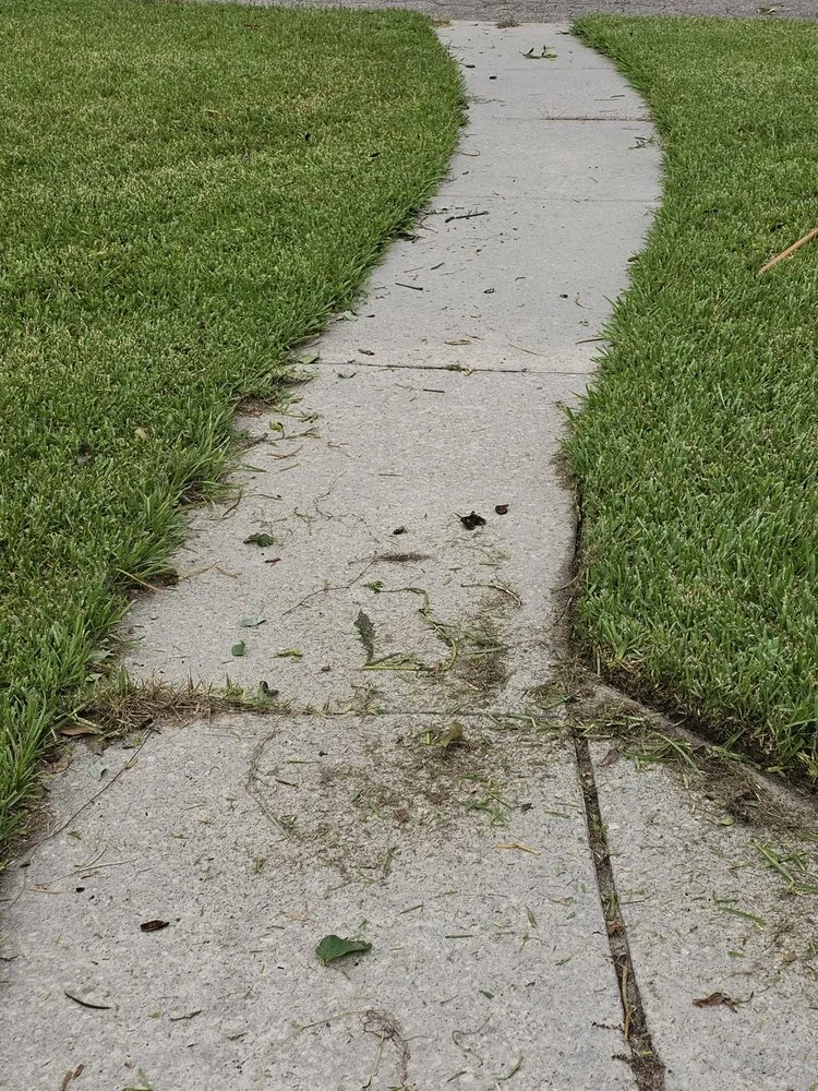 Reliable landscape installation in Gainesville, FL by Strange Oasis