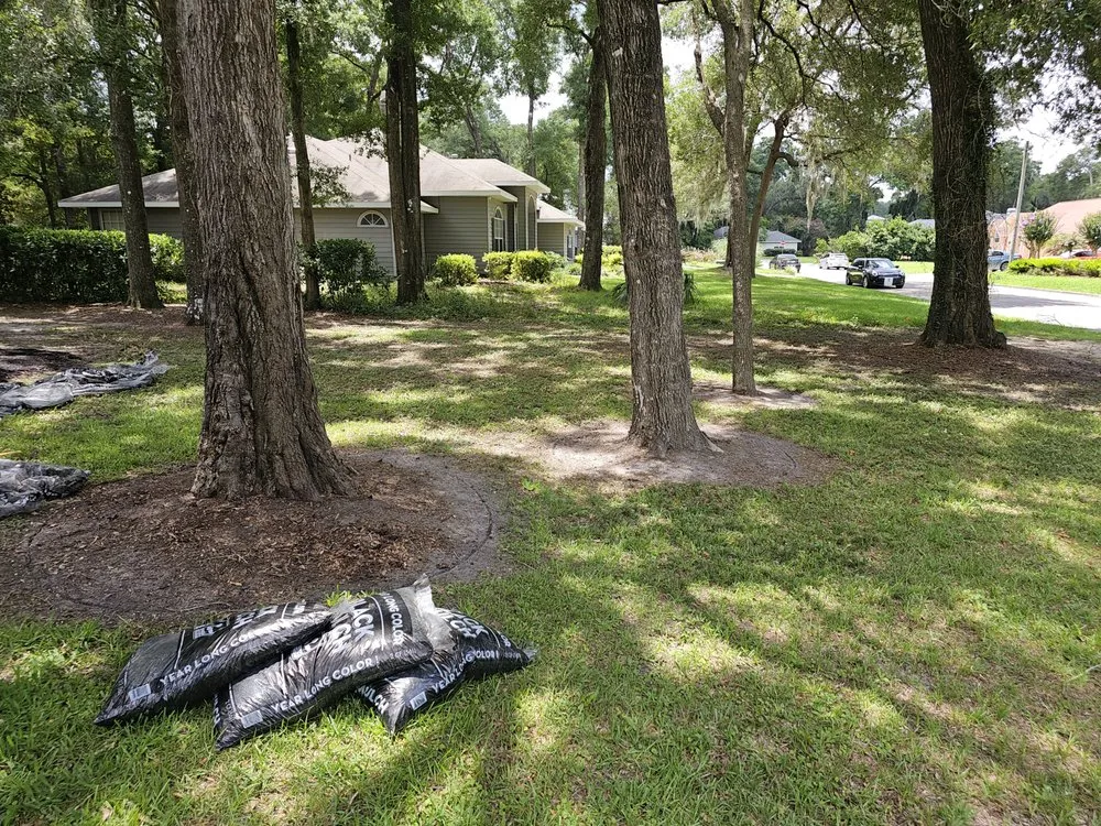 Reliable landscape design experts serving Gainesville, FL - Strange Oasis