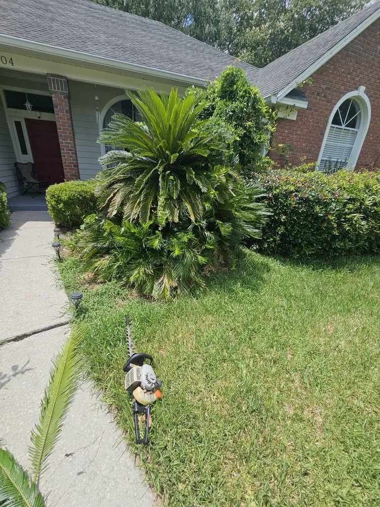 Reliable landscape design in Gainesville, FL - Strange Oasis