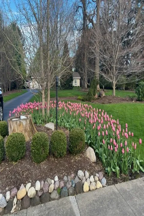 Expert garden landscaping experts serving Sycamore, IL - Stran's Garden Center & Landscaping