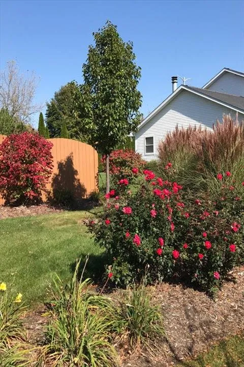 Top-rated landscaping services in Sycamore, IL - Stran's Garden Center & Landscaping