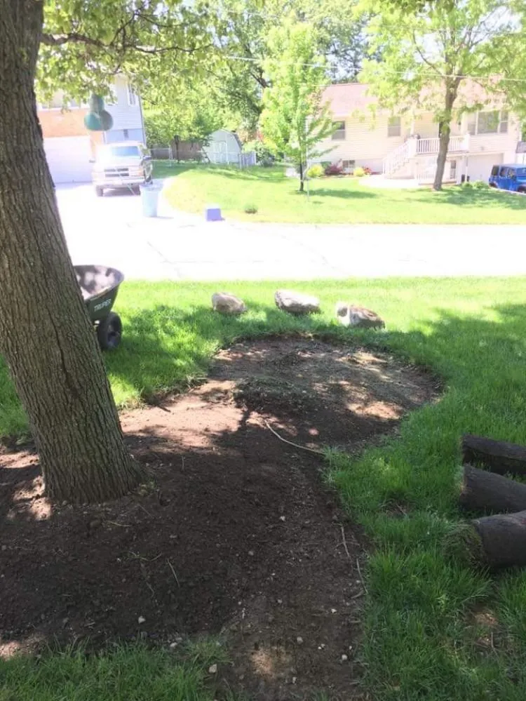 Affordable yard cleanup service for homes across Omaha, NE - Strategic Landscaping