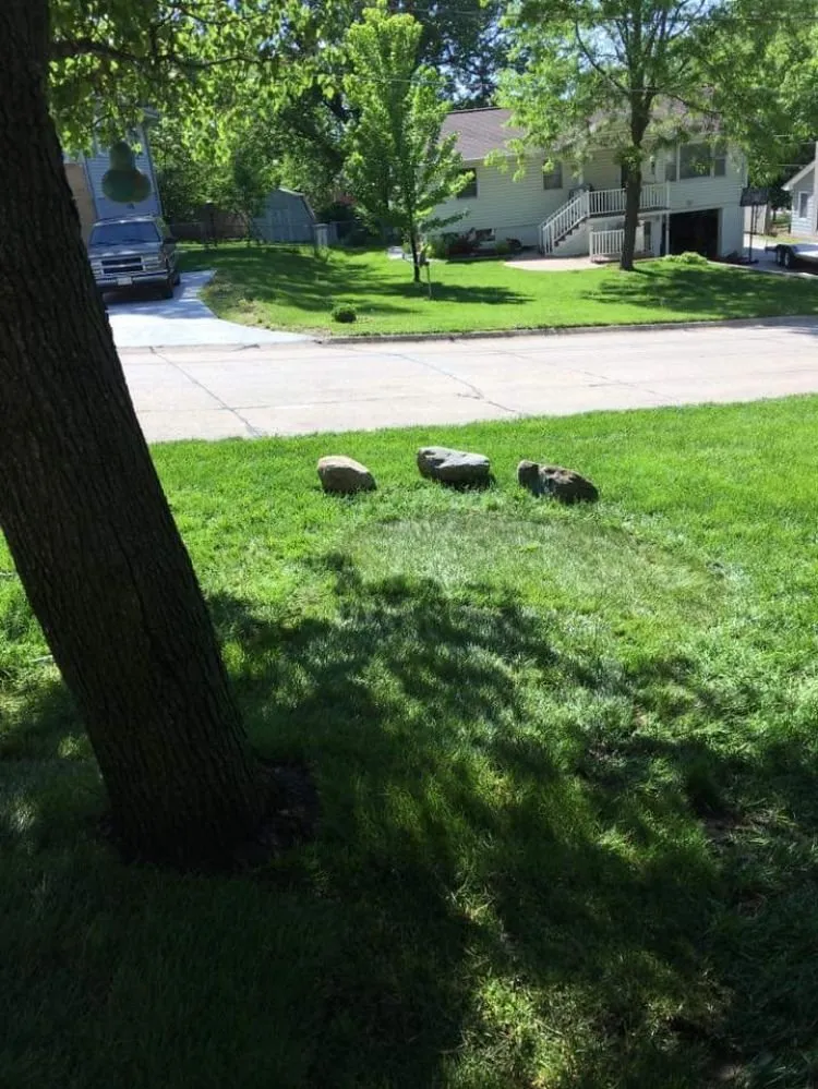 Expert yard cleanup service near you across Omaha, NE - Strategic Landscaping