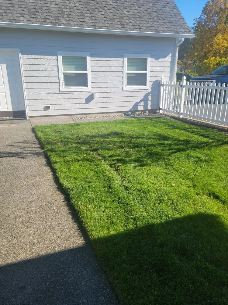 Expert yard cleanup service experts serving Sequim, WA - strat's lawncare and more