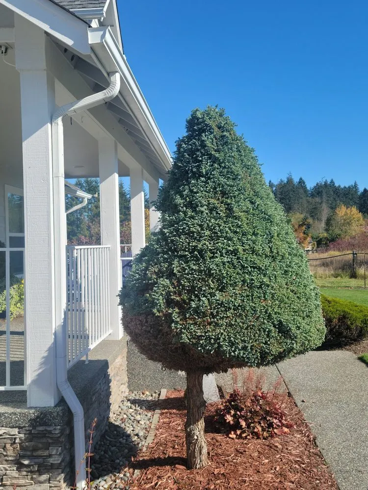 Local lawn care service in Sequim, WA by strat's lawncare and more