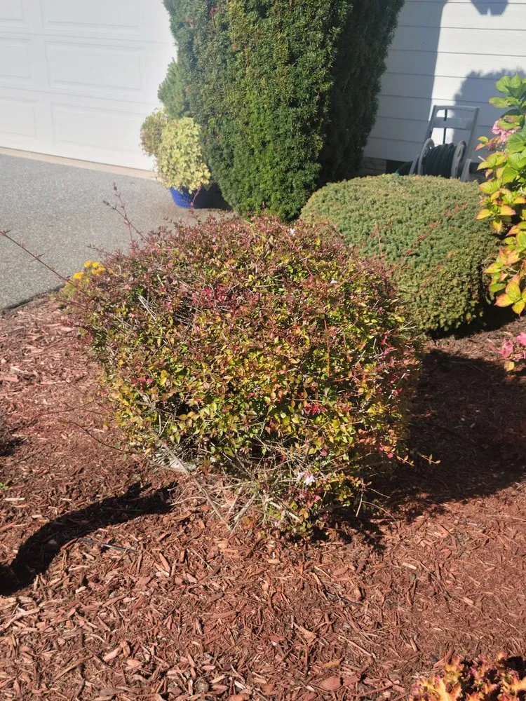 Professional lawn care service experts serving Sequim, WA - strat's lawncare and more