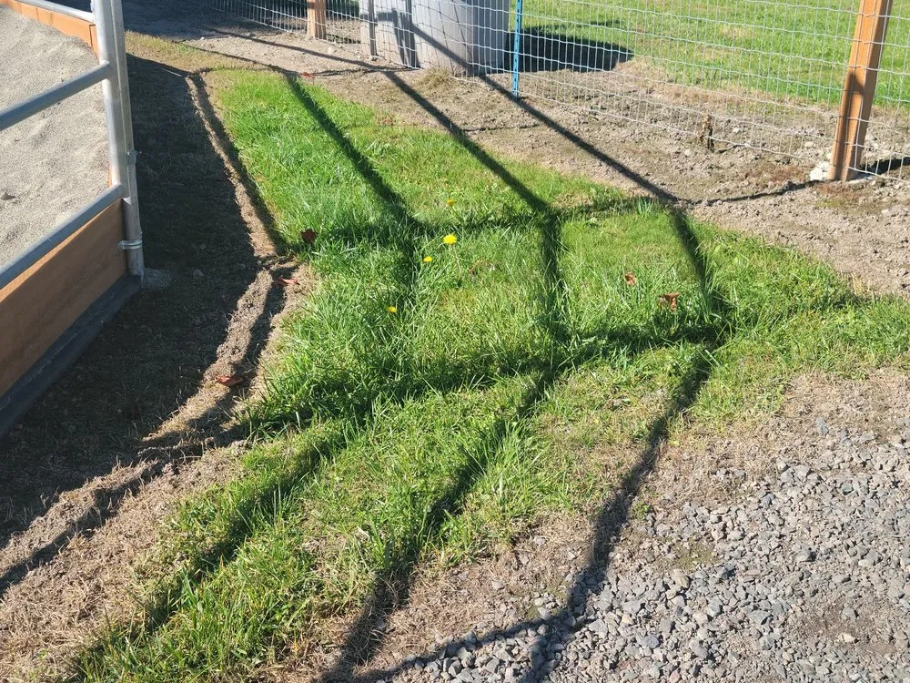 Professional lawn care service for outdoor upgrades in Sequim, WA by strat's lawncare and more