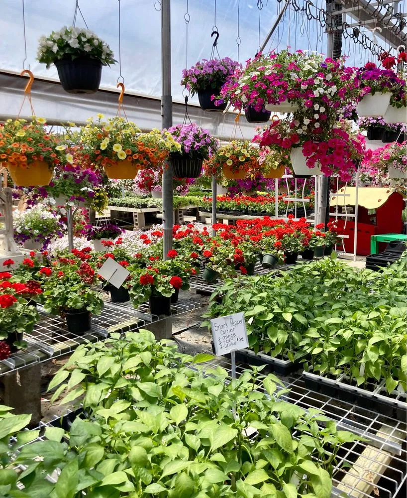 Affordable landscaping services with custom design across Bluffton, OH - Stratton Greenhouses