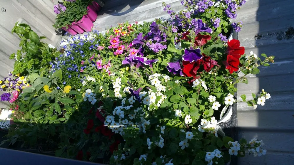 Local landscaping services experts serving Bluffton, OH - Stratton Greenhouses