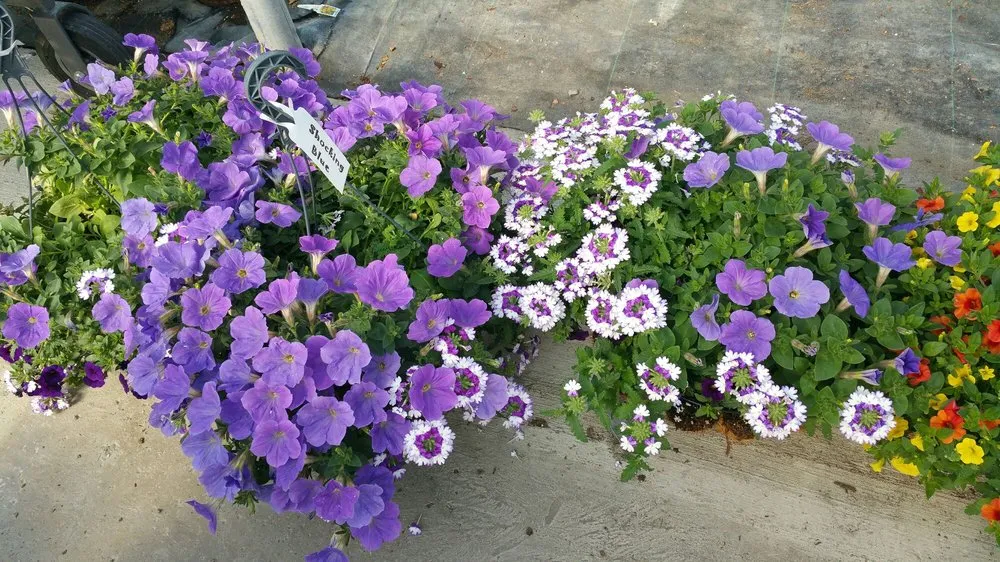 Reliable residential landscaping near you in Bluffton, OH by Stratton Greenhouses