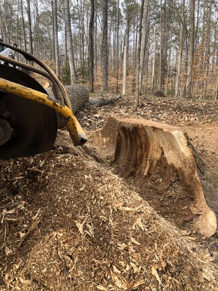 Trusted landscaping services for outdoor upgrades across Bon air, VA - Stratton landscaping