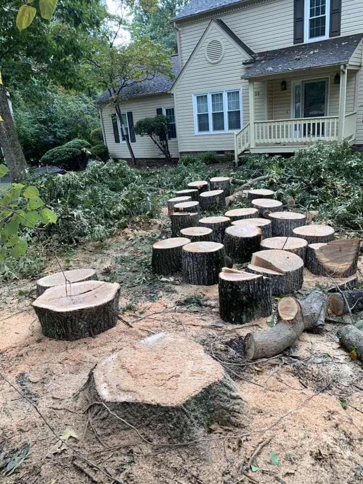 Expert landscape design experts serving Bon air, VA - Stratton landscaping