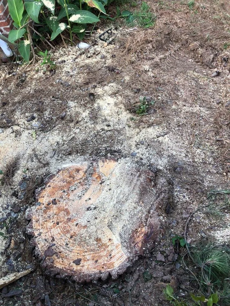 Custom yard cleanup service in Bon air, VA - Stratton landscaping