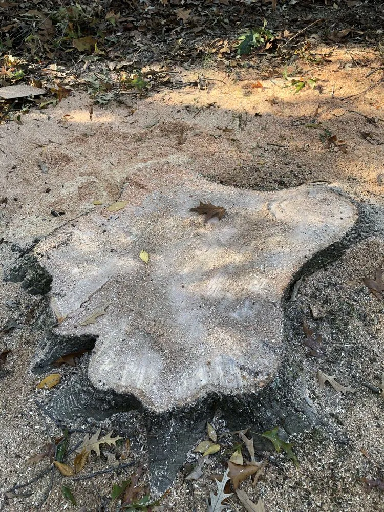 Top-rated lawn mowing service in Bon air, VA by Stratton landscaping