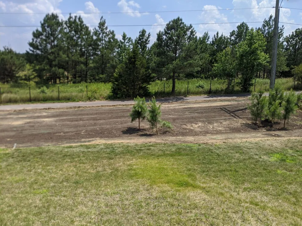 Reliable yard maintenance in Bon air, VA - Stratton landscaping