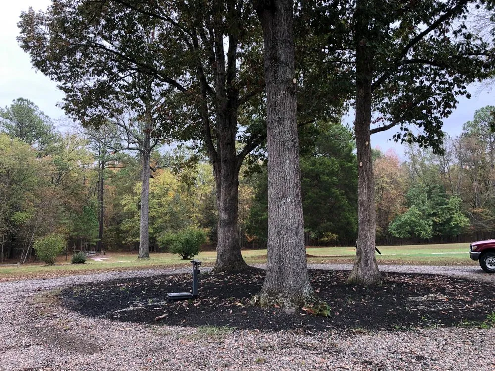 Local yard cleanup service experts serving Bon air, VA - Stratton landscaping