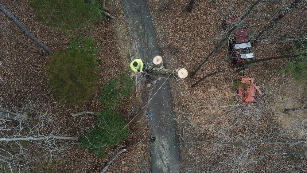 Professional lawn care service in Bon air, VA by Stratton landscaping