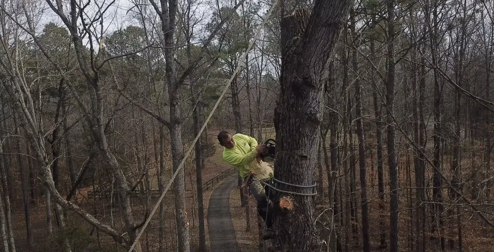 Top-rated lawn care service for homes in Bon air, VA by Stratton landscaping