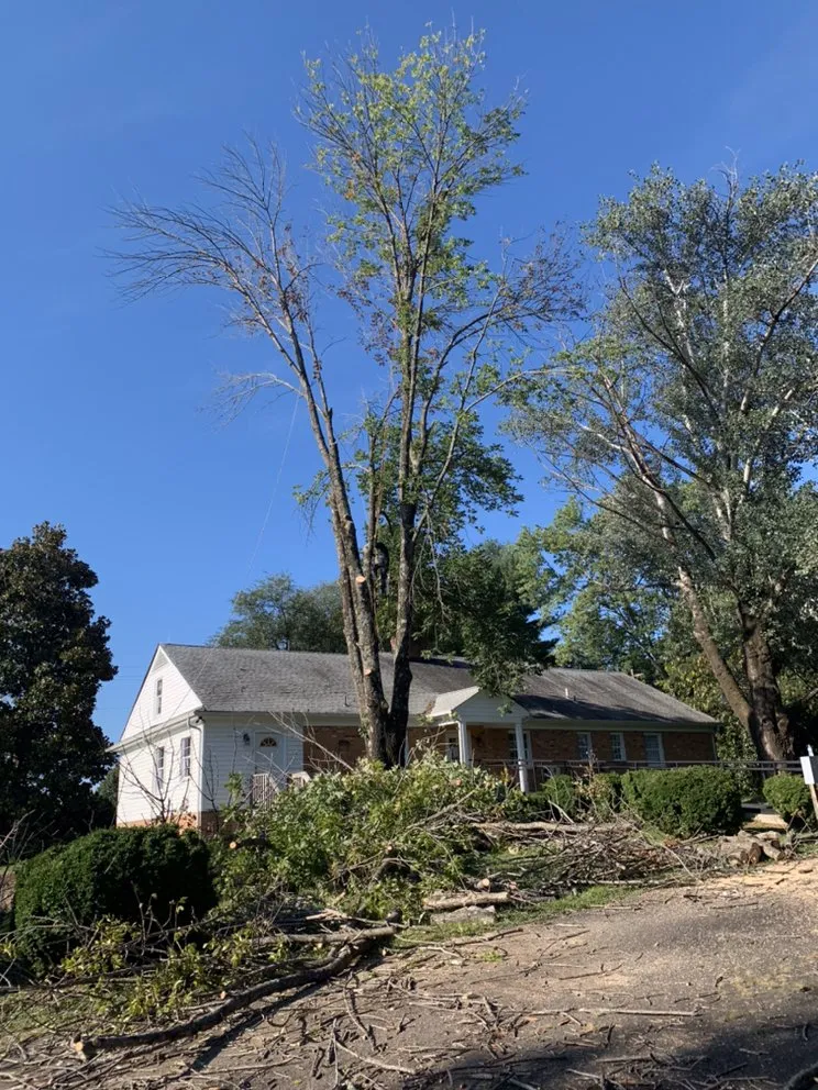 Reliable landscape installation in Bon air, VA - Stratton landscaping