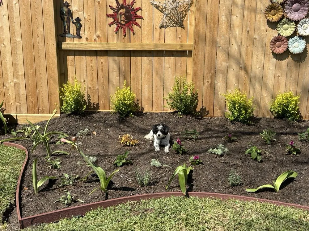Custom landscape installation in Houston, TX - Stratton Remodeling & Construction