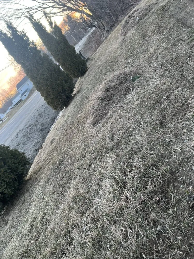 Professional lawn care service for beautiful yards across Oakland, ME - Strattons Handyman Services