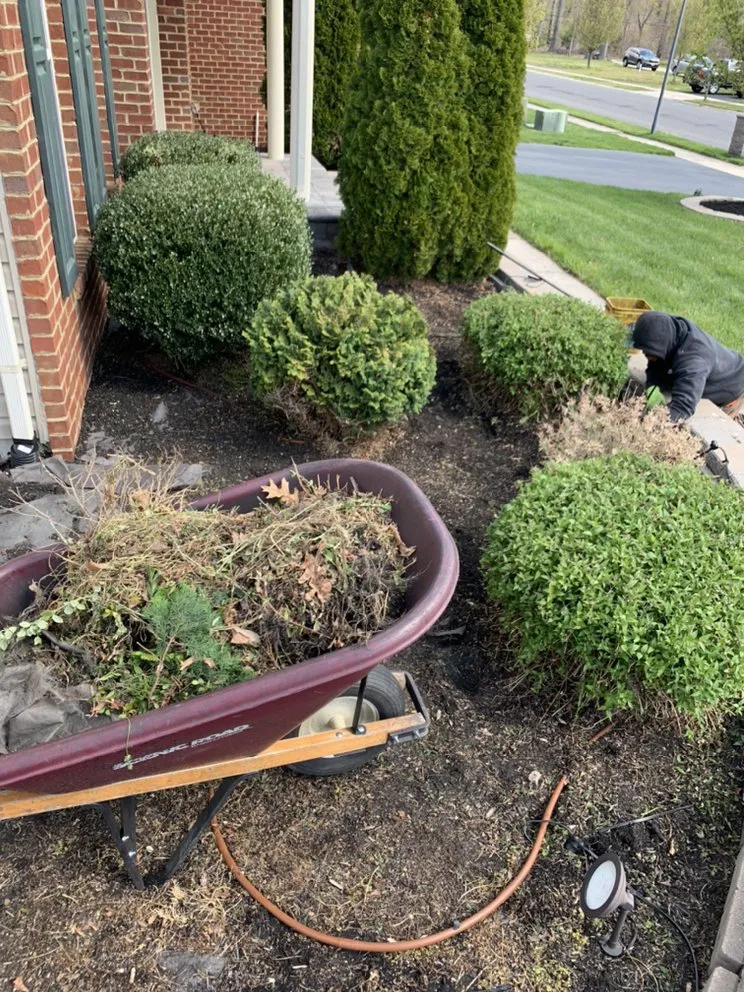 Affordable yard cleanup service in Vineland, NJ - Stratton’s Outdoor Ecellence