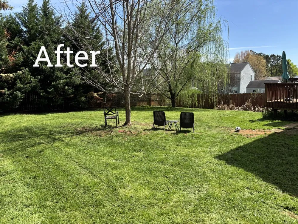 Affordable yard cleanup service experts serving Green Level, NC - Straughans Lawn Care