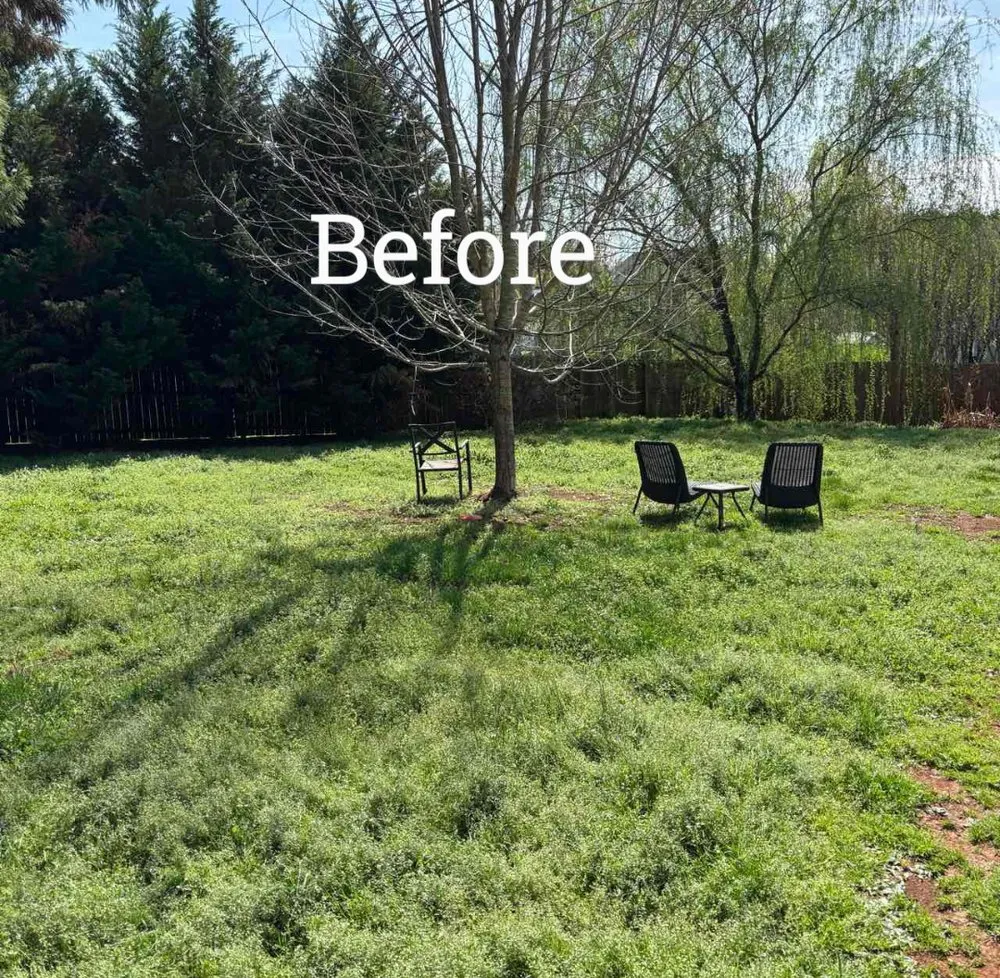 Reliable yard cleanup service experts serving Green Level, NC - Straughans Lawn Care