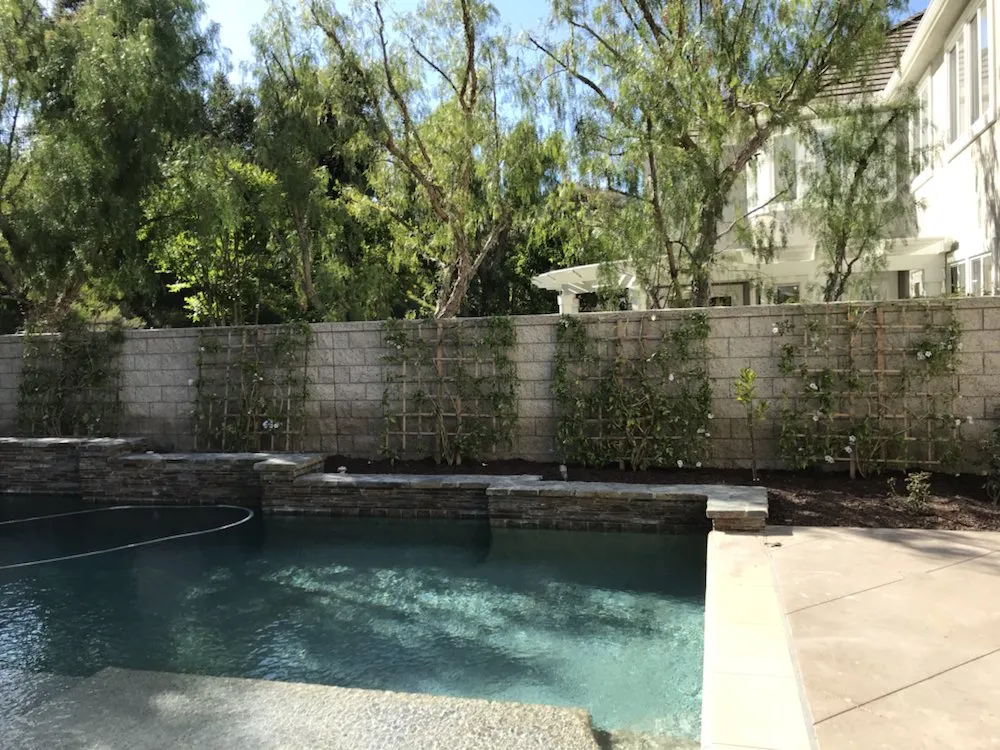Expert outdoor landscaping for beautiful yards in Capistrano Beach, CA by Straw Hat Landscapes