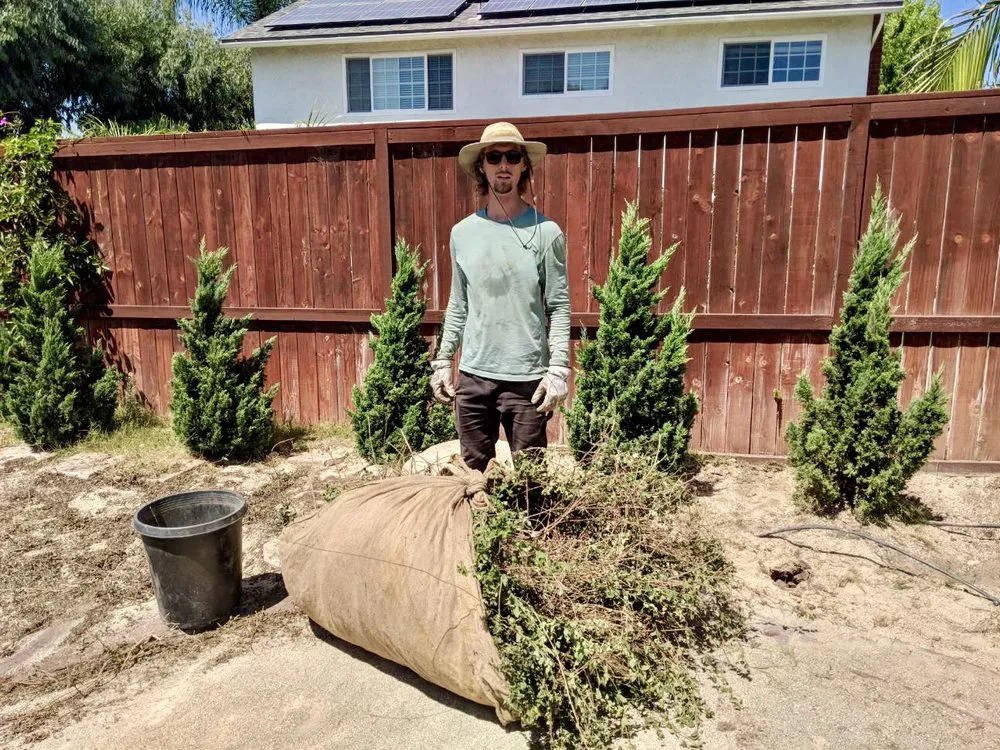 Reliable yard cleanup service in Capistrano Beach, CA by Straw Hat Landscapes