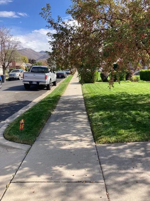 Reliable yard cleanup service in Riverton, UT - Straw Hat Lawn Care