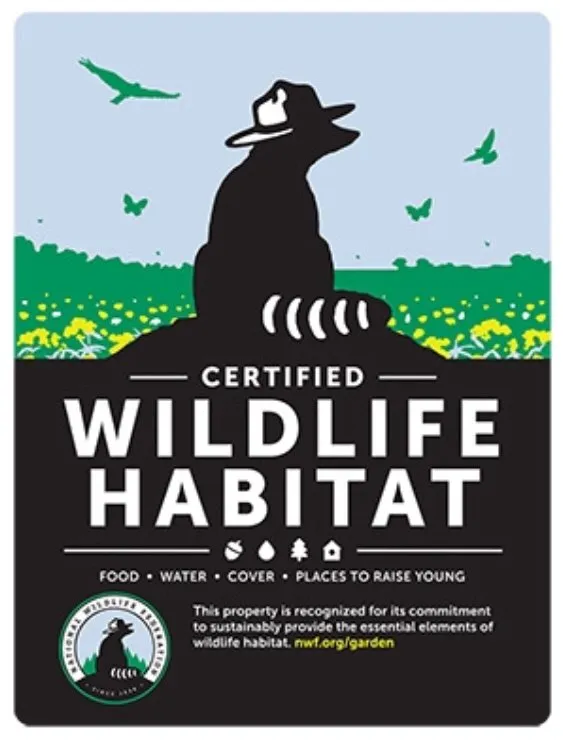 Top-rated garden landscaping experts serving Clarkston, GA - Strawberry Western