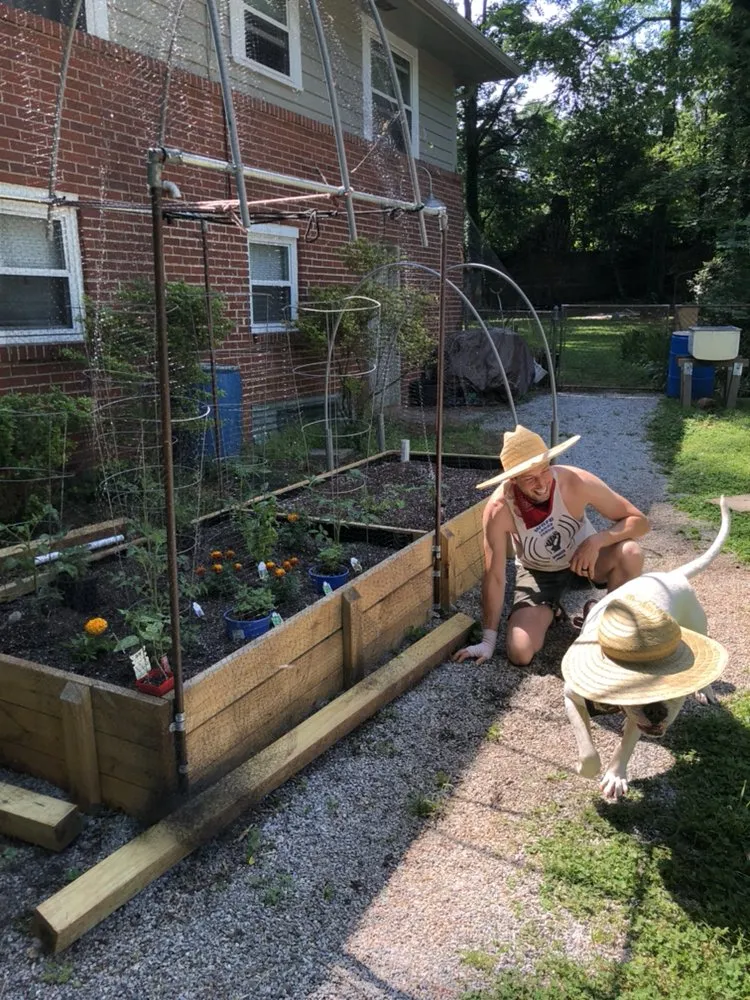 Affordable yard cleanup service experts serving Clarkston, GA - Strawberry Western