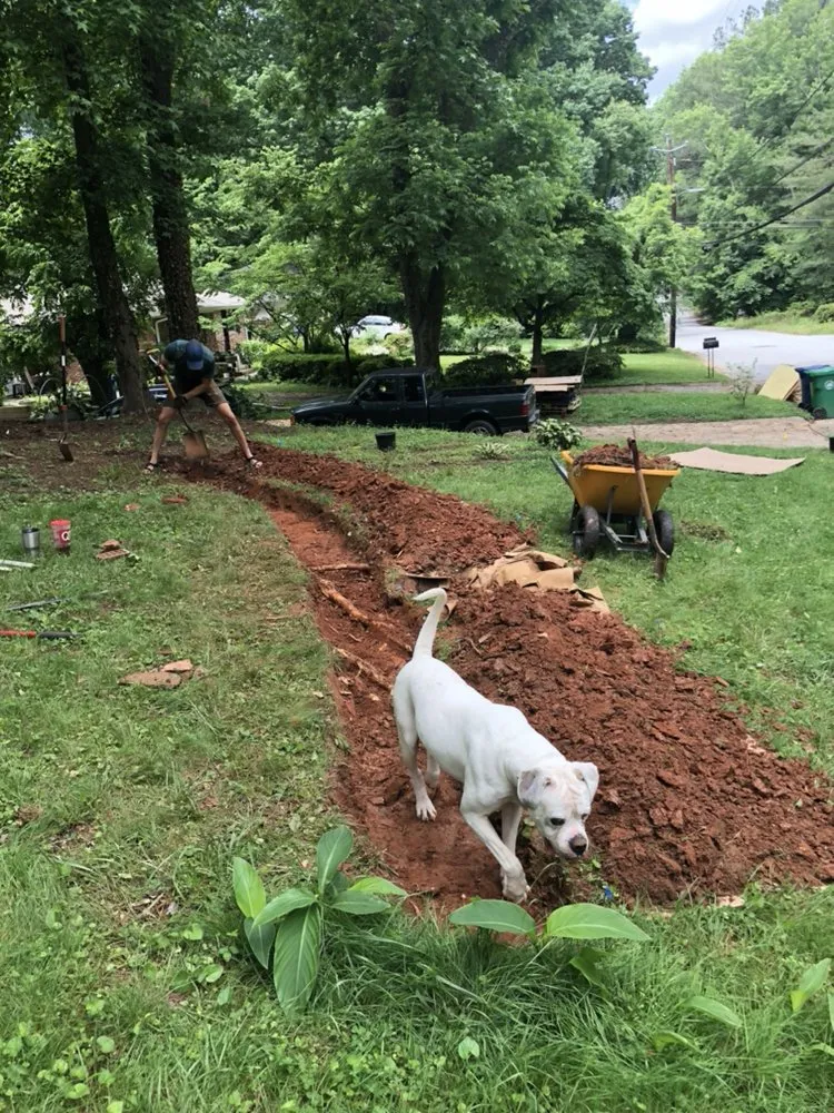 Local yard maintenance in Clarkston, GA by Strawberry Western