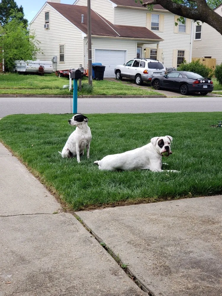 Affordable landscape installation with custom design in Virginia Beach, VA by Strawbridge Lawn & Landscape