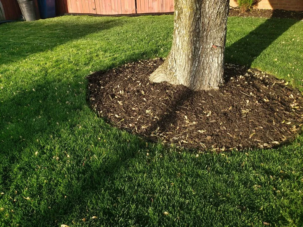 Custom yard cleanup service in Virginia Beach, VA - Strawbridge Lawn & Landscape