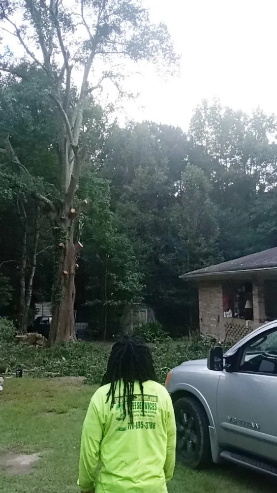 Custom landscape installation for homes across Stone Mountain, GA - Strawford Smothers