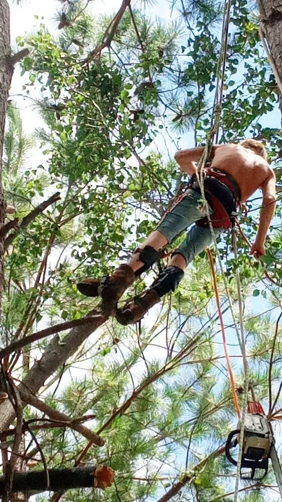 Expert outdoor landscaping for beautiful yards across Stone Mountain, GA - Strawford Smothers