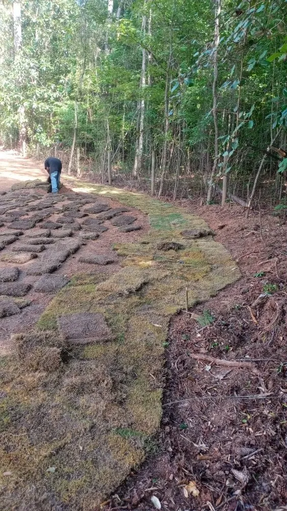 Expert lawn mowing service for outdoor upgrades in Stone Mountain, GA by Strawford Smothers