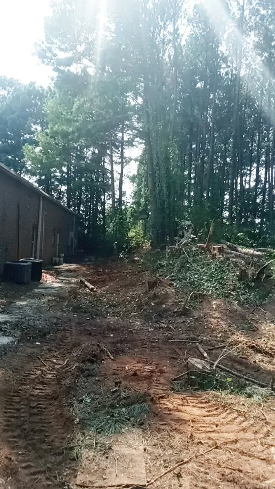 Affordable lawn mowing service experts serving Stone Mountain, GA - Strawford Smothers