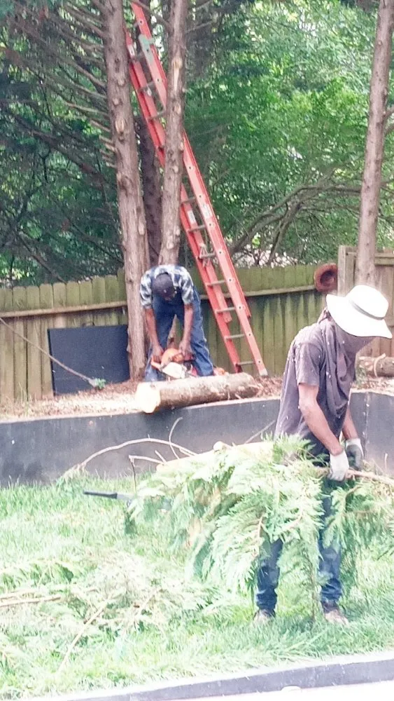 Professional garden landscaping near you across Stone Mountain, GA - Strawford Smothers